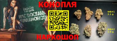 мдпв Тула