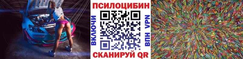 Галлюциногенные грибы Psilocybine cubensis Саранск